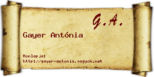 Gayer Antónia névjegykártya